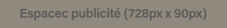 Publicité ZanmiTech